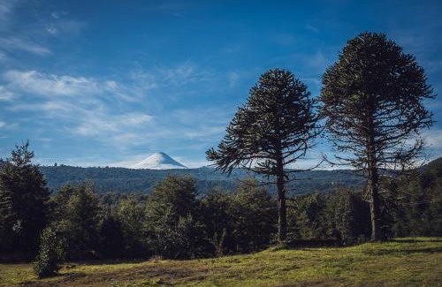 Panguipulli Apartment | cabaña trelehueno a minutos de termas Vergara