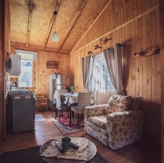 Panguipulli Apartment | cabaña trelehueno a minutos de termas Vergara