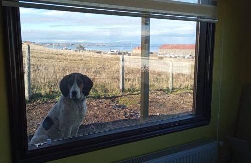 Puerto Natales Apartment | Cabaña, Villa Bories