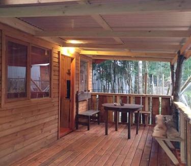 Conaripe House | Cabañas Coñaripe