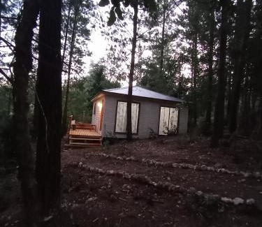 Constitucion House | cabañas eco chahuilco