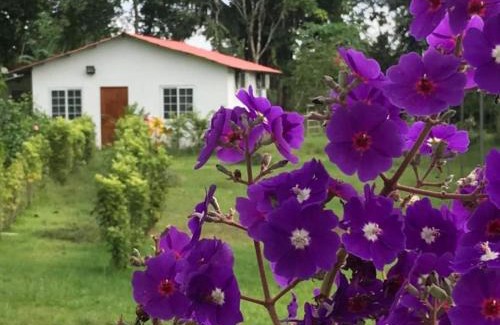 Panama Oeste Province House | Cabañas Finca Campestre