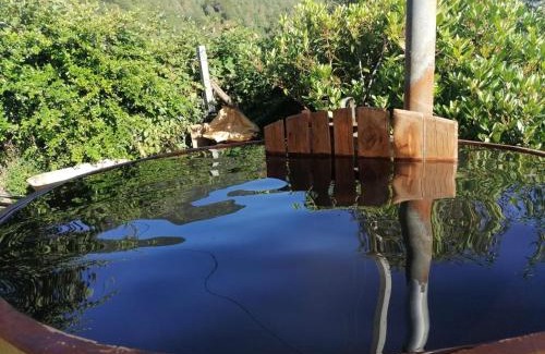 Panguipulli House | Cabañas Jatrima