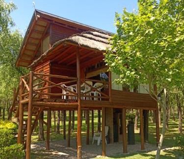 San Pedro Cabin | Cabañas Manantiales de Obligado