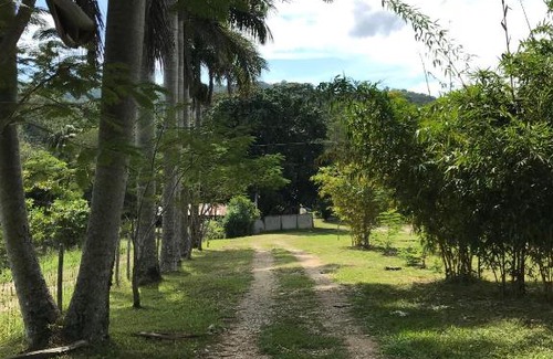 Palenque House | Cabañas Maya Rue
