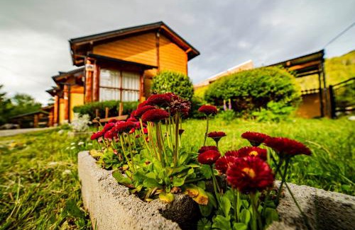 El Bolson Apartment | Cabañas Patagonia Rupestre
