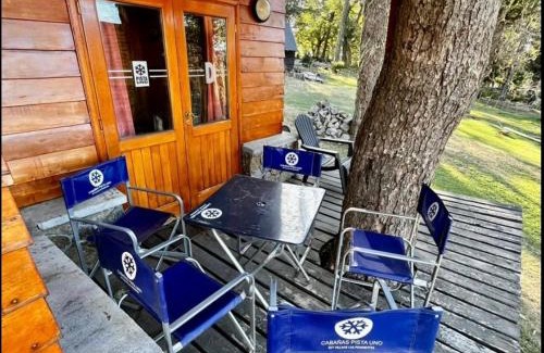 Lanin National Park Cabin | Cabañas Pista Uno Ski Village
