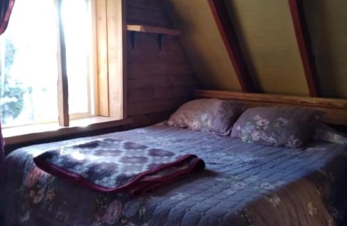 Puerto Montt Apartment | Cabañas Rio Sur y tinajas calientes