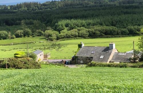 Rhyd-y-clafdy House | Caban Cwtch The Cosy Cabin