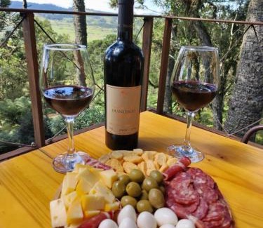 Bom Jardim da Serra Ski Chalet | Cabana Alpen Ville com Banheira - Rural