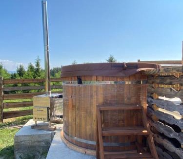 Toplita House | Cabana Ana Toplița