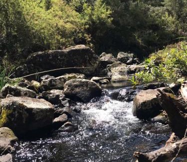 Bom Jardim da Serra Other | Cabana Aroma da Serra