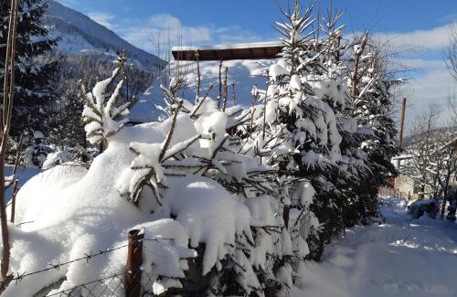 Borsa Ski Chalet | Cabana Bradut Borsa