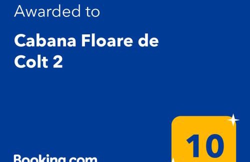 Rasnov Cabin | Cabana Floare de Colt 2