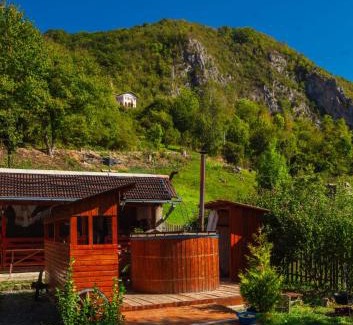 Salciua de Jos House | Cabana La Florut