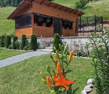 Arieseni House | Cabana Lazea