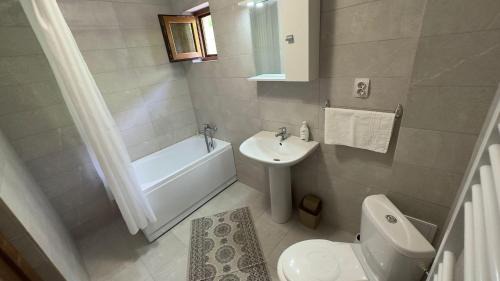 Arieseni House | Cabana Lazea