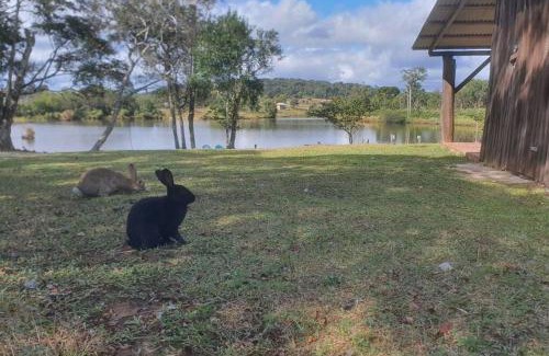 Nova Petropolis House | Cabana no alto do morro
