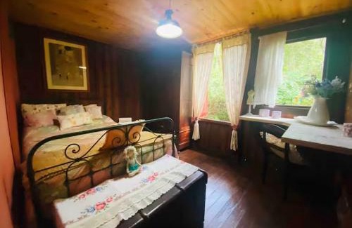 Santa Teresa Ski Chalet | Cabana Santa Premium