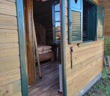 Sao Francisco de Paula Ski Chalet | cabanasluar