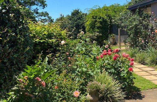 Hilton Bed & Breakfast | Cabbage Tree Cottage
