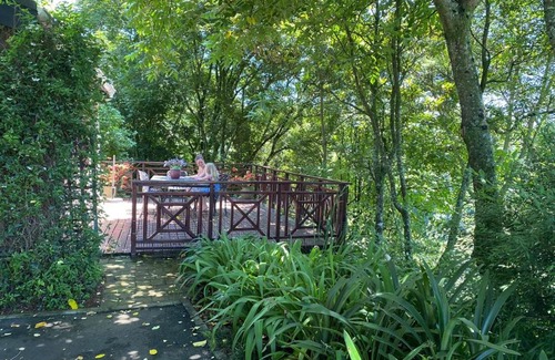 Hilton Bed & Breakfast | Cabbage Tree Cottage
