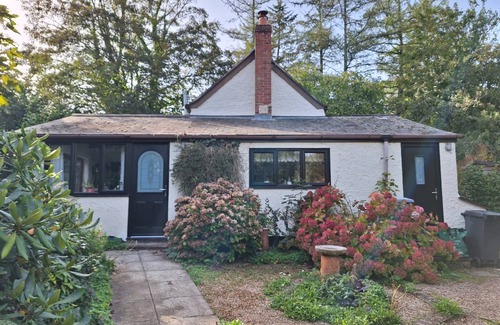 Honiton Cottage | Cabin ∙ 1 bedroom ∙ 2 guests
