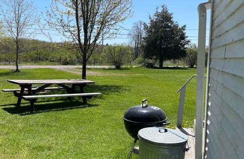 Brier Hill Cabin | Cabin 1 w/*DOCK ACCESS* and Spacious Yard