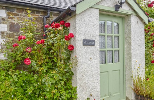Black Torrington Cottage | Cabin ∙ 2 bedrooms ∙ 4 guests