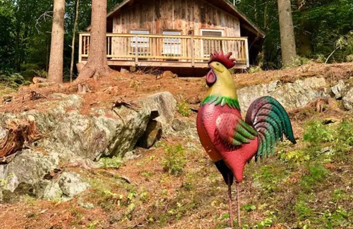 Waterbury Cabin | Cabin 3 - Austrian chalet