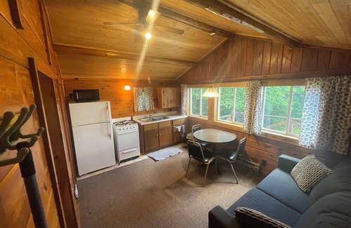 Ely Cabin | Cabin 3 'Kingfisher' 1 BR, 2 pp, overlooks lake, access to boats!