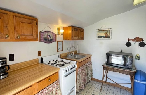 Brier Hill Cabin | Cabin 4 w/Private Dock on Black Lake *AMAZING VIEW*