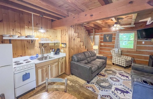 Cherokee Cabin | Cabin #6 - Riverfront w/Gas Fireplace & more!
