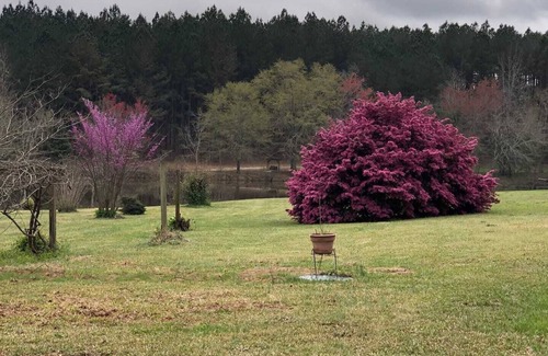 Mesena Cabin | Cabin at Meadow Springs, lakes and walks on 51+acres in Warrenton GA
