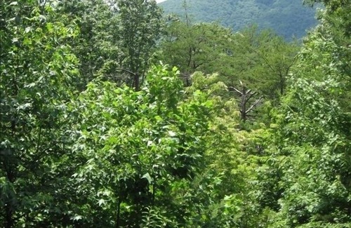 Cleveland Cabin | Cabin Getaway ~Relax and Enjoy the hot tub or hang out in the game room