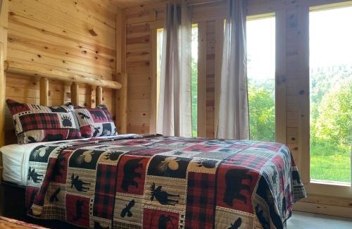 Pittman Center House | Cabin in Gatlinburg M