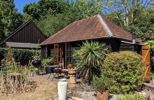 New Forest District Cabin | Cabin in the Forest.