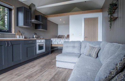 Kilgetty Apartment | Cabin In The Woods - 1 Bedroom Lodge - Kilgetty