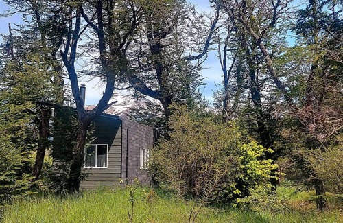 Coyhaique Cabin | Cabin in the woods