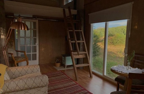 Coyhaique Cabin | Cabin in the woods