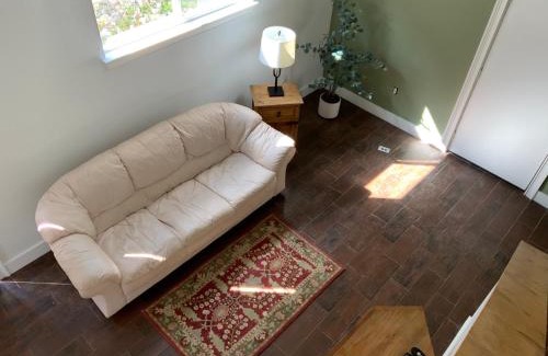 San Marcos House | Cabin in the Woods