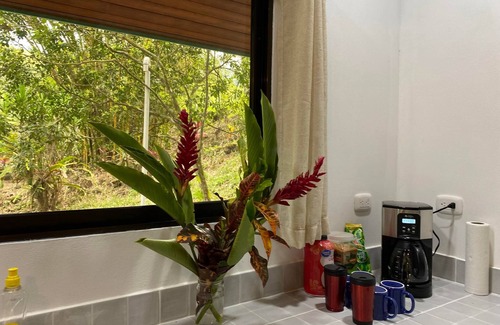 Parrita Villa | Cabin in tropical lush rainforest