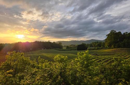 Hendersonville Villa | Cabin on Gold Mine Hill