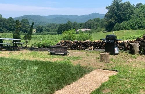 Hendersonville Villa | Cabin on Gold Mine Hill