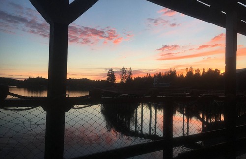 Halibut Cove Cabin | Cabin with incredible sunset views of Halibut Cove!