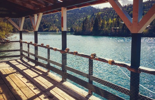 Halibut Cove Cabin | Cabin with incredible sunset views of Halibut Cove!