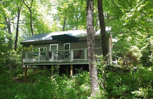 Brevard Cabin | Cabin with two trout rivers onsite. Brevard and Pisgah National Forest close by.