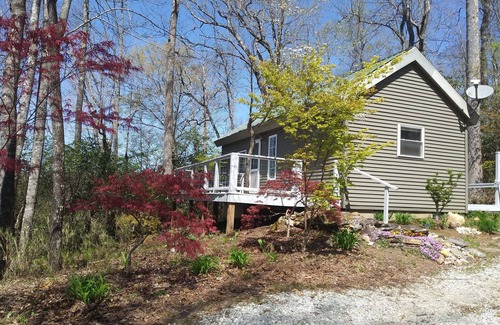 Brevard Cabin | Cabin with two trout rivers onsite. Brevard and Pisgah National Forest close by.