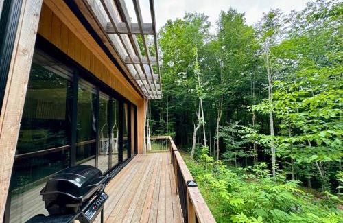 Eastman House | Cabin Zoobox 47