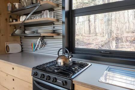 Eastman House | Cabin Zoobox 54